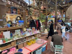 -卡通尼·Safari非洲探索乐园·生日会(金桥国际商业广场店)