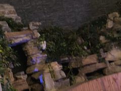 -明日世界密室轰趴·剧本桌游·箭馆团建(国贸店)