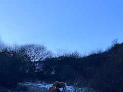 -太子岭滑雪场