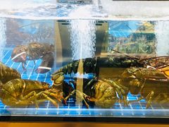 水产区-七鲜超市(通州ONE店)