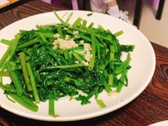 空心菜-斯丹姜母鸭(涂门街总店)