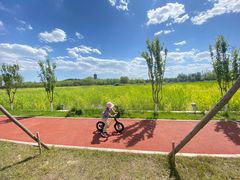 -永定河休闲森林公园