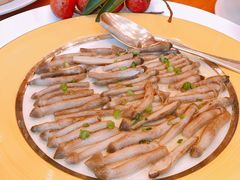 -广州富力君悦大酒店空中花园