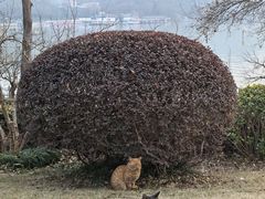 -云龙湖旅游景区