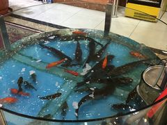 -屯靠屯地锅王(西南路店)