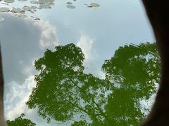 -苏州图书馆(人民路总馆)