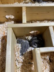 点击看大图 -酷嗒动物文化乐园(cutezoo西溪乐天城店)