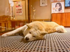 -大江户·温泉洗浴(浑南店)