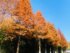 -南京市无想山景区