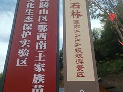 -梭布垭石林景区