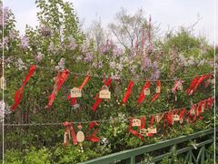 -热高乐园