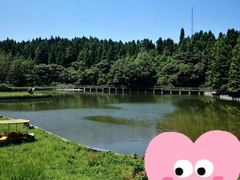 -武陵山森林公园