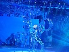 -灵玲国际马戏城