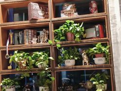 -T.1 hair salon烫染接发