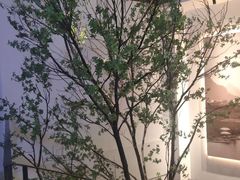 -蜜桃餐厅·伴山(湖滨商业街店)