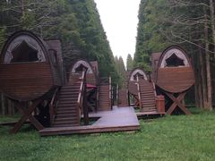 -黄海国家森林公园