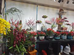 -双季花艺园艺市场(浦东店)