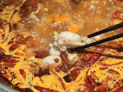 -销魂美蛙鱼头火锅(上海首店)