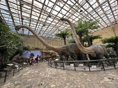 -国家自然博物馆