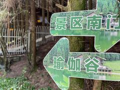 -武陵山森林公园