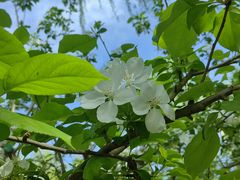 -海棠花溪(元大都城垣遗址公园)