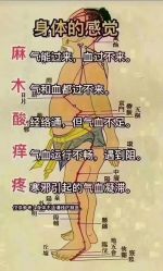 -香薇妮丝女子减肥院