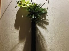 -泉寿司(万科公园店)