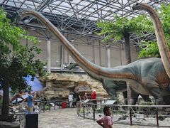 -国家自然博物馆