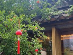 -鲤院·新中式美学·庭院餐厅(夫子庙店)