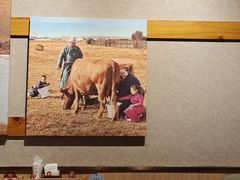 -西贝(宝乐汇店)