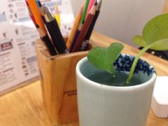 -猫的天空之城概念书店(西塘古镇店)