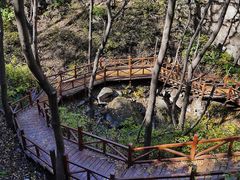 -大岭沟猕猴桃谷风景区