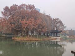 -巡塘古镇