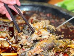 -三道苗苗鱼·美蛙黄辣丁(八里店)