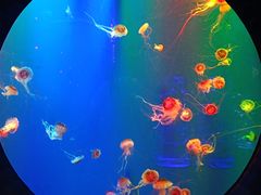 -成都浩海立方海洋公园