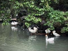 -兰亭风景区