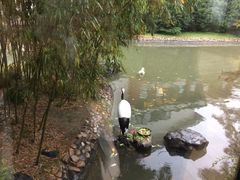 -西郊宾馆·1921餐厅