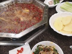 -绵阳森林雨鸭肠王火锅城(丽景花城店)