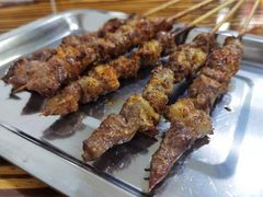 -民族烤羊·烤羊肉串·烤羊排(南城店)