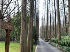 -上海怡沁园度假酒店
