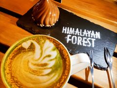 -喜马拉雅森HIMALAYAN FOREST