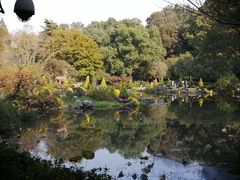 -杭州植物园