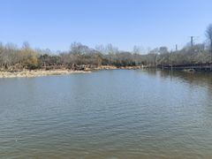 -前关湿地公园