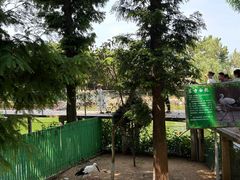 -西霞口神雕山野生动物世界