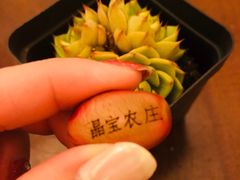 -晶宝温泉农庄