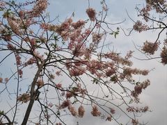 -白石龙音乐公园