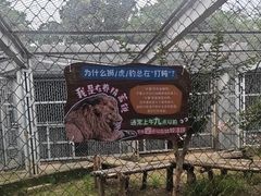 -合肥野生动物园