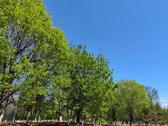 -莫子山公园