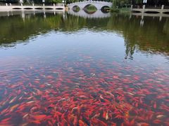-大连植物园