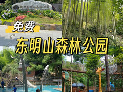 -东明山森林公园